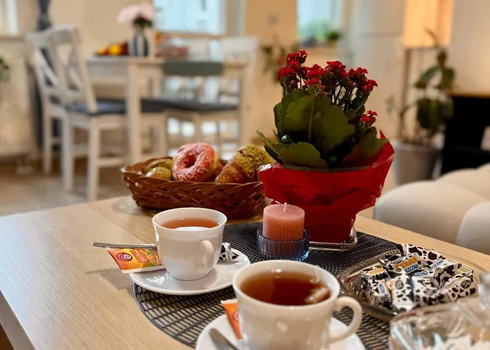 Krakow Nest